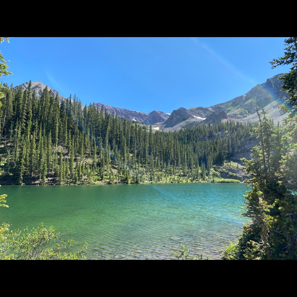 Meet your Posher, Lucy